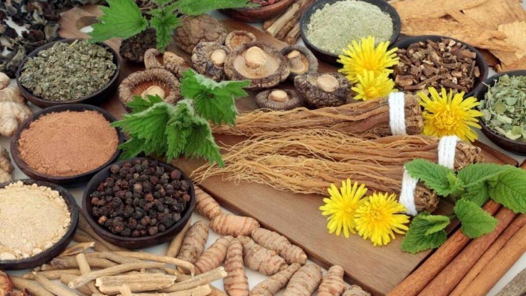 Az Adaptogén Növények Varázslatos Világa: Hogyan Segíthetnek Leküzdeni a Modern Élet Stresszét?