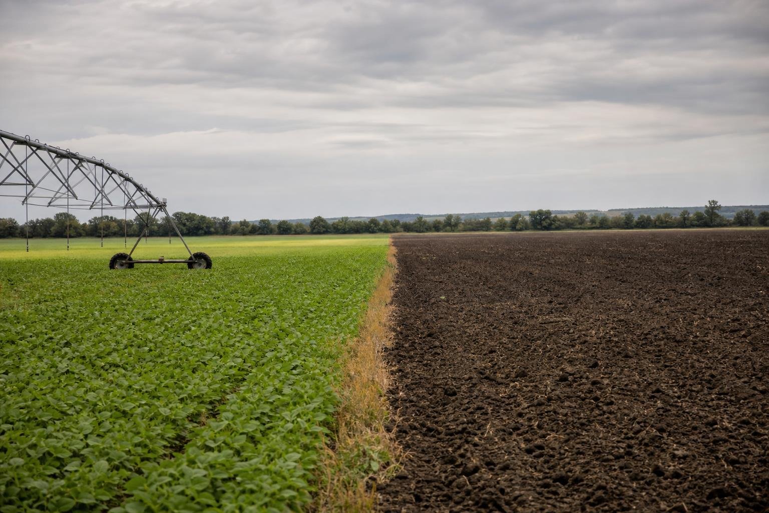 Átalakítaná a föld- és a vadászati szabályokat az agrárminiszter